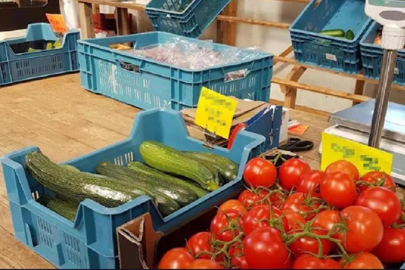 Boutique Studio Ter Westenschouwen Burgh-Haamstede Eksteriør billede